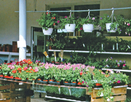 Gartenmarkt 2